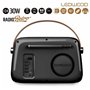 Radio Transistor Ledwood ALMA BLK Noir 30 W