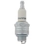 CHAMPION J19LM/T10 Bougie Unité