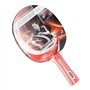 Donic Schildkröt Waldner 600 Raquette pour tennis de table avec DVD d'apprentissage (import) noir/ rouge