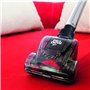 Dirt Devil Accessoires Brosse Fellino spécial poils d'animaux