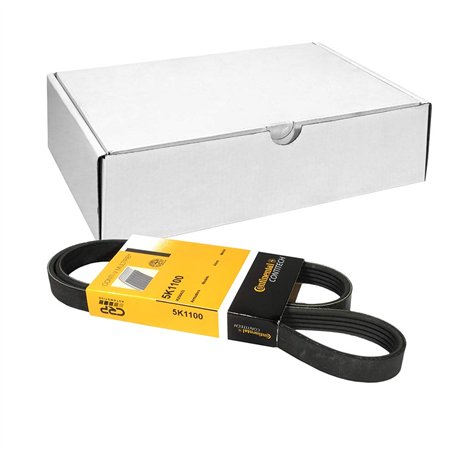 Continental Contitech 5PK1100 Courroie trapézoïdale à nervures