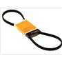 Continental Contitech 4PK1165 Courroie trapézoïdale à nervures