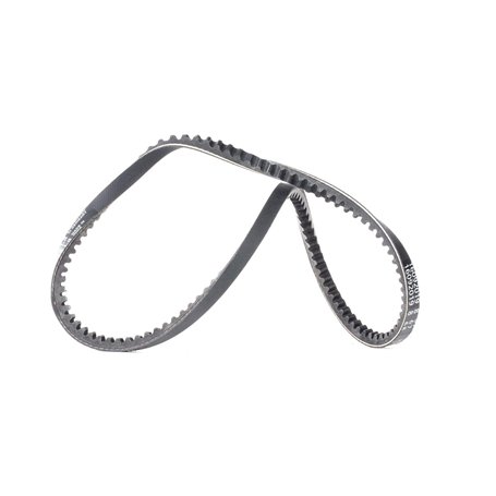 Continental Contitech AVX10X735 Courroie trapézoïdale