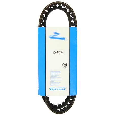 DAYCO 10A1025C Courroie Trapézoïdale