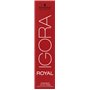 Igora Royal 3-68 Châtain Foncé Marron Rouge 60 ML