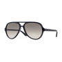 Ray-Ban Lunettes de soleil CATS 5000 Noir