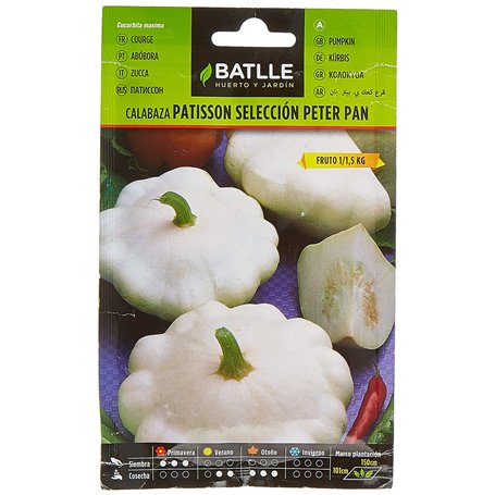 Semences horticoles de Batlle Citrouille Pâtisson blanc Peter Pan (6g)