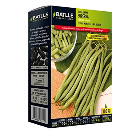 Batlle Graines de Légumes - Nain Superba Ausw. Superviolet (100 g).
