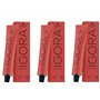Schwarzkopf Igora Royal 6-5 Lot de 3 flacons de 60 ml