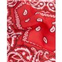 Lot de 5 bandanas paisley rouges
