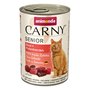 Nourriture pour chat Carny Senior