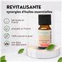 Synergie d’Huiles Essentielles Revitalisante - Mélange Huiles Essentielles 100% Pure et Naturelle - Utilisation en Diffusion pou