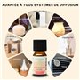 Synergie d’Huiles Essentielles Revitalisante - Mélange Huiles Essentielles 100% Pure et Naturelle - Utilisation en Diffusion pou