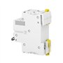 Schneider Electric A9F74216 IC60N Disjoncteur Acti9 2P 16 A Courbure C 50/60 Hz Blanc