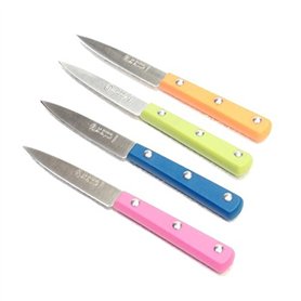 HCIA Lot de 4 Couteaux la Fourmi Manche Plastique Couleur Assortis HCIA Lot de 4 Couteaux la Fourmi Manche Plastique Couleur Assortis