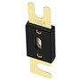 Heschen ANL Fuse ANL-120 Lot de 2 fusibles 120 A pour système audio de voiture Doré et noir