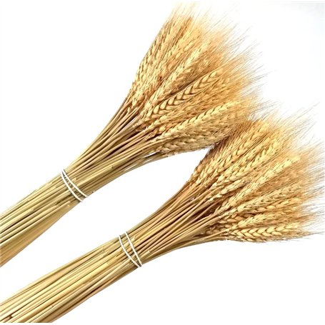 180 pcs séchées blé Naturel Bundle Arrangement de Fleurs Maison Table de fête de Mariage Table Décoration