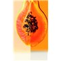 FRUCTIS HAIR FOOD papaya repair mask 390 ml