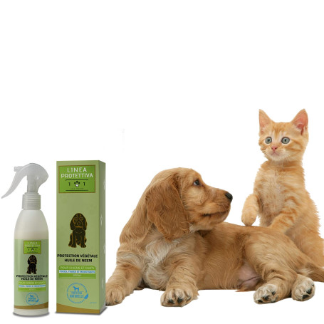 Spray Répulsif Naturel Contre Puces