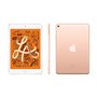 2019 Apple iPad Mini (7,9-pouces, Wi-Fi + Cellulaire, 64 Go) Or (Reconditionné)