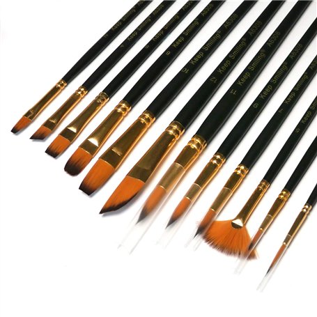 Lot de 12 pinceaux de peinture artiste avec poils synthétiques en sable pour peinture acrylique