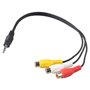 5 mm vers 3 RCA femelle