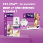 FELIWAY Classic Spray 60 ml - Phéromones Apaisantes pour Chats - Apaise les Chats à la Maison et Réduit le Stress lors du Transp