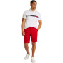 Tommy Hilfiger Polo Regular Fit