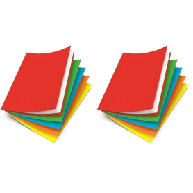 Oxford Lot de 100 Sous-Chemises 22 x 31 cm Papier 80 g Coloris Assortis