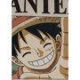Coussin double face - Carré - ONE PIECE - Monkey D. Luffy Wanted - Microfibre - 40 x 40 cm