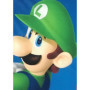 Couverture Sherpa - MARIO BROS - Mario & Luigi - 100 x 150 cm
