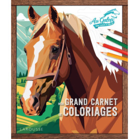 Mon grand carnet de coloriages AU GALOP Mon grand carnet de coloriages AU GALOP