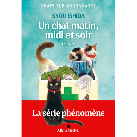 Un chat matin, midi et soir
