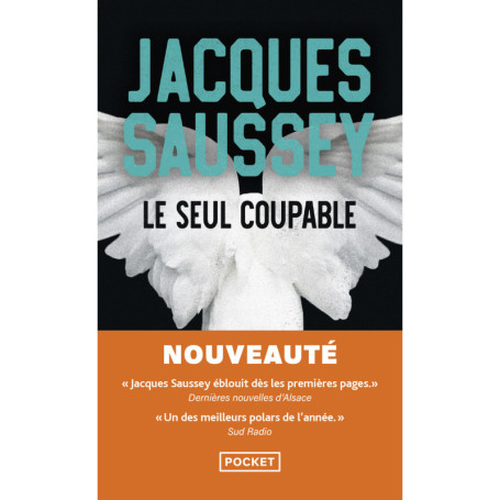 Le seul coupable