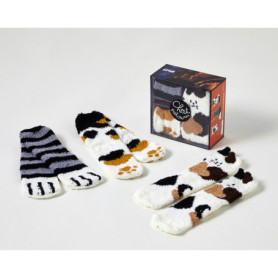 Coffret Les goûters de la famille Chat chaussettes, 3e éd. Coffret Les goûters de la famille Chat chaussettes, 3e éd.