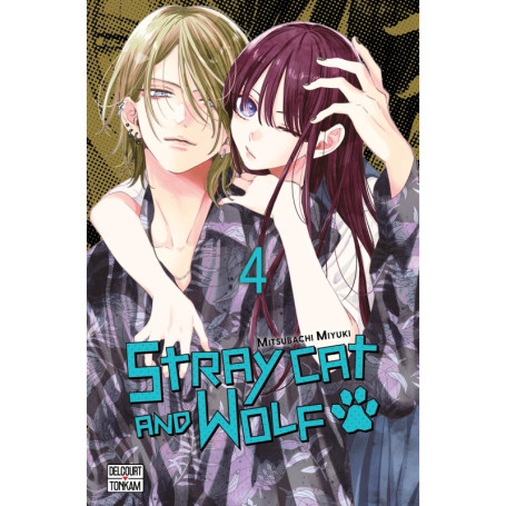 Stray cat and wolf T04