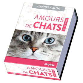 Calendrier Amours de chats en 365 jours - L'Année à bloc Calendrier Amours de chats en 365 jours - L'Année à bloc
