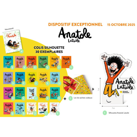 Colis 30 vol silhouette - Anatole Idées folles - oct 25