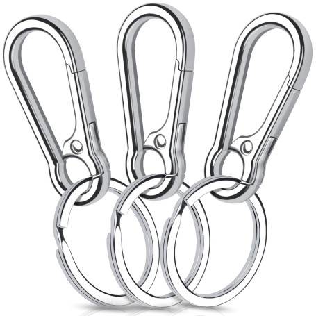 Caianwin 3 Pièces Mousqueton Porte Clé Porte Clef Mousquetons en Métal Porte-Clés Homme pour Accrocher dans Le Sac à Dos, Clés d