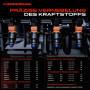 Frankberg Lot de 4 injecteurs d'injecteur compatibles avec Altea 5P1 1.4L 2006 Octavia II 1Z3 1.4L 2004-2013 Golf IV 1J1 1.4L 1.