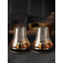 Peugeot- Coffret Dégustation Whisky - 2 Sets (Verre à Whisky + Socle Rafraîchissant + sous-Verre) + Livret - Coffret Cadeau Whis