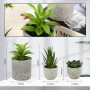 ZHYLUO 5 Pieces Plantes Artificielle, Mini Plantes artificielles Interieur Serpentine, Agave succulentes, Griffe d'aigle Aloe Ve