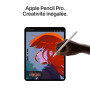 Apple iPad Pro 11 Pouces (M5) : Écran Ultra Retina XDR Verre Standard, 256 Go, Caméra Avant Horizontale 12 MP/Caméra arrière 12 