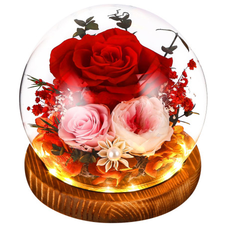 SOBEAU Rose Eternelle Fleur Eternel, Rose Eternelle sous Cloche pour Femme Maman, Noel Saint Valentin Fete Anniversaire, Cadeau 