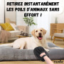 PILPOIL Gant Anti Poils Animaux & Brosse Chat Chien – Ramasse Poils, Bouloches & Peluches – Électrostatique pour Canapé, Tapis, 