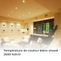 B.K.Licht - Set de 12 spots LED encastrables orientables, plats, couleur de lumière blanc chaud, spots LED, spot encastrable, sp