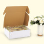 HORLIMER Carton Emballage Colis 305x229x102 MM Lot de 20, Petite Boîte Carton d'expédition pour Expédition Postale, Courrier, Bo
