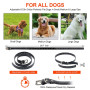 Wodondog Collier de Dressage pour Chien, Collier Electrique pour Chien Étanche Rechargeable, Télécommande 1000 m (Noir)