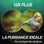 Slokey Jumelles 10x42 - Jumelles Professionnelles et Puissantes à Longue Portée - Prismes BAK4 et FMC Légers et Étanches - Idéal