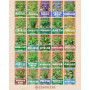 ZenGreens® - Kit de graines de herbes aromatiques & légumes bio - 100 variétés pour une culture facile dans le jardin, sur le ba